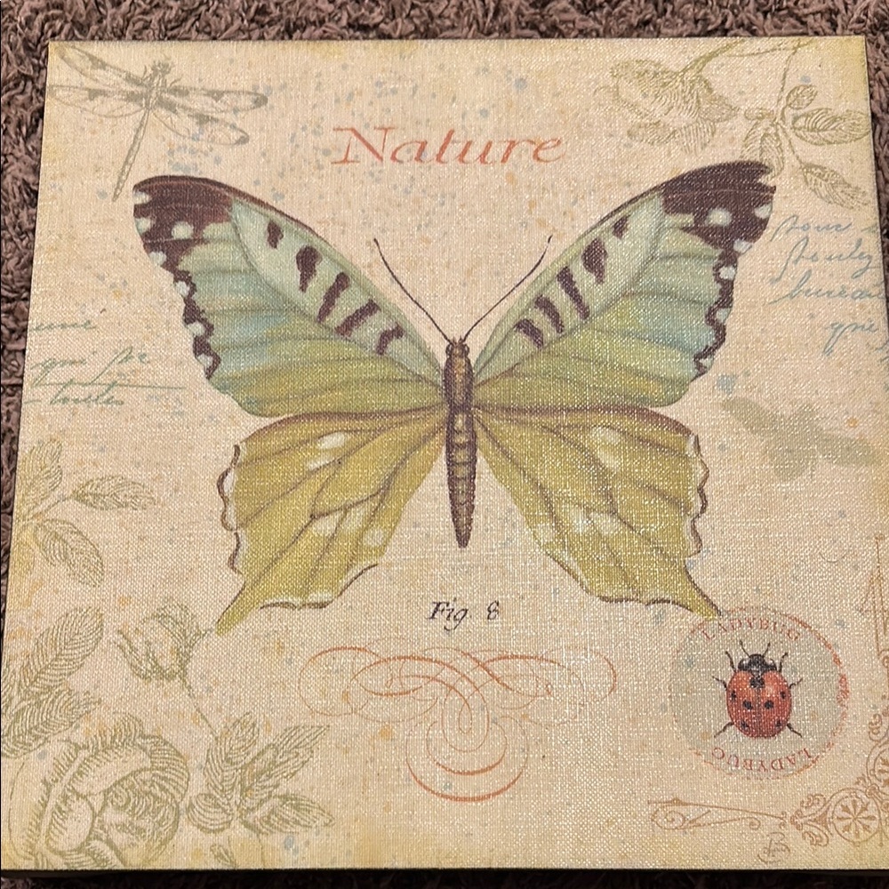 Nature Butterfly Canvas Art
